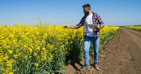 Pesticides : une nouvelle base de données regroupe les bonnes pratiques pour en réduire l'usage | TRANSITION AGROECOLOGIQUE : PRATIQUES ET POLITIQUES AGRICOLES | Scoop.it