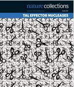 Collection: TAL Effector Nucleases | TAL effector science | Scoop.it