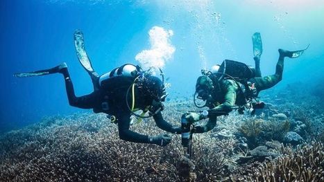 Massive study tracks 117 marine species showing effect of climate change | Curtin Global Challenges Teaching Resources | Scoop.it