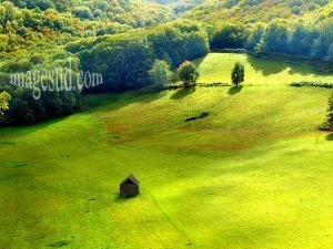 A la campagne en Aveyron , Rouergue &laquo; Photos de France | Aveyron | Scoop.it