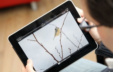 Nouvelle Aquitaine: Un coup de pouce pour les jeunes pousses | Start-ups | Success stories | Scoop.it