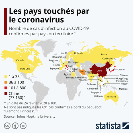 Les #pays touchés par le #coronavirus | #Covid19 #China | Gestion des Risques et Performance Globale des Entreprises | Scoop.it