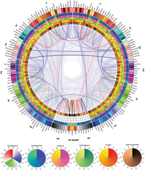 Between Science & Art: Connectograms and Circos Visualization Tool | Science News | Scoop.it
