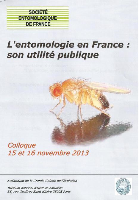 L'entomologie en France : son utilité publique | Variétés entomologiques | Scoop.it