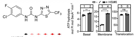 A small molecule allosterically activates SecA dependent secretion | ComB | RMH | Scoop.it