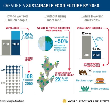 This is how to sustainably feed 10 billion people by 2050 | GTAV AC:G Y9 - Biomes and food security | Scoop.it