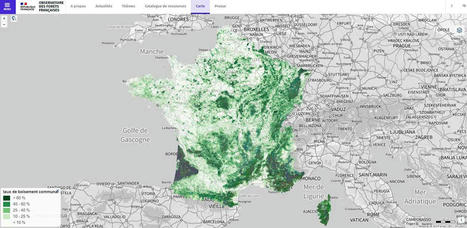Lancement de l'Observatoire des forêts françaises - Portail IGN | Biodiversité | Scoop.it