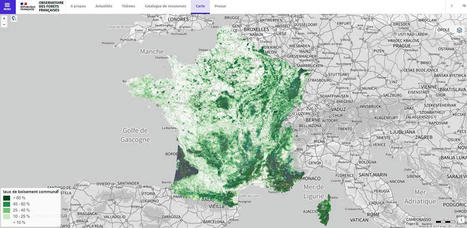 FRANCE : Lancement de l'Observatoire des FORÊTS françaises - Portail IGN | CIHEAM Press Review | Scoop.it