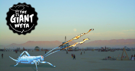 The Giant Weta at Burning Man 2016 & Kiwiburn 2017 | Peer2Politics | Scoop.it