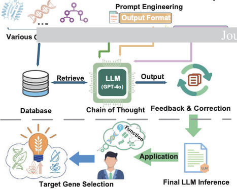 GENIUS-LLM: an evidence-traceable, gene-centered multi-omics inference framework for plant gene function analysis | pcm | RMH | Scoop.it