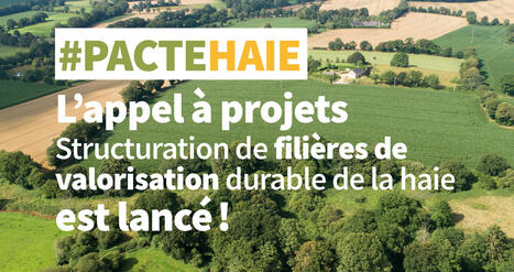 Lancement de l&rsquo;AAP &ldquo;fili&egrave;res de valorisation&rdquo; &ndash; Afac-Agroforesteries | Pour innover en agriculture | Scoop.it