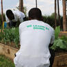 Vocational education and training - VET