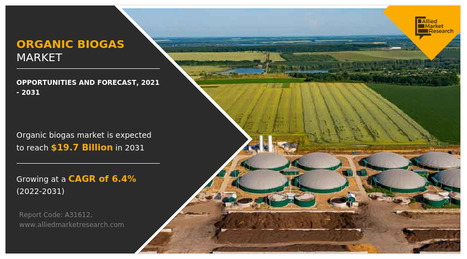Organic Biogas Market to Reach $19.7 Billion by 2031, Driven by Waste-to-Energy Transition - Waste Management & Recycling News Today - EIN Presswire | Industry 411 - Waste Management | Scoop.it