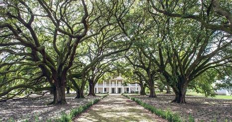 5 Unusual New Orleans Museums You Should Visit | Coastal Restoration | Scoop.it