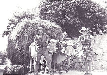 Jean Bégué, enfant d’Aure et du Louron – 5ème partie : Les vaches | Vallées d'Aure & Louron - Pyrénées | Scoop.it