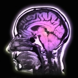 Rewiring the brain to boost visionary thinking - Human Capital | Leadership Development in Europe | Mesurer le Capital Humain | Scoop.it