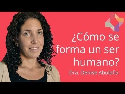 &iquest;C&oacute;mo se forma un ser humano? por Denise Abulafia - Expertos - Educatina | Educaci&oacute;n Siglo XXI, Econom&iacute;a 4.0 | Scoop.it