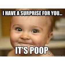 Top Ten Liberal Absurdities: Liberal Surprise: It's Poop! | News You Can Use - NO PINKSLIME | Scoop.it