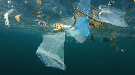 Une île de déchets plastiques dérive au large de la Corse | EntomoNews | Scoop.it