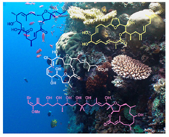 Tetrahydrofuran-Containing Macrolides: A Fascinating Gift from the Deep Sea | Natural Products Chemistry Breaking News | Scoop.it