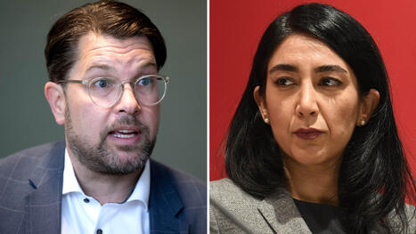 DEBATT: Vill inte SD att fler ska bli svenskar? | 1Uutiset - Lukemisen t&auml;hden | Scoop.it