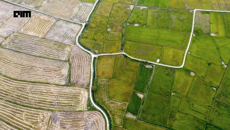 ASIA: Why farmers are turning to Google DeepMind | ASIES | Scoop.it