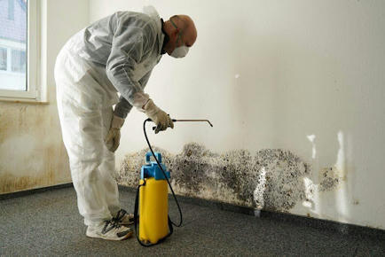 How to Find the Right Mould Cleaning Service for You | Capitalrestoration Cleaning | Scoop.it