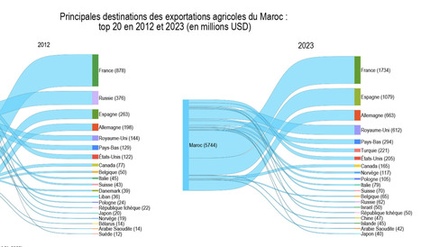AFRIQUE DU NORD: tendances et stratégies d’exportation agricole | AFRIQUES | Scoop.it