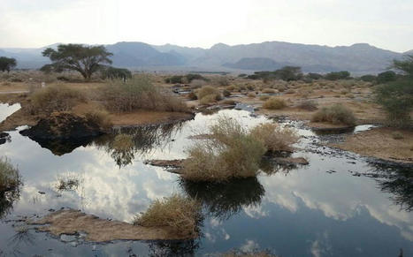 State-owned company, 4 executives indicted over massive 2014 desert oil spill | The Times of Israel | Operation Deimos | Scoop.it
