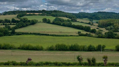 Restaurer les haies grâce aux PSE expérimentaux | TRANSITION AGROECOLOGIQUE : PRATIQUES ET POLITIQUES AGRICOLES | Scoop.it