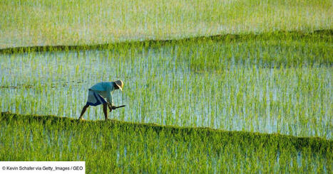 Une carte mondiale révèle les zones critiques où le changement climatique menace la sécurité alimentaire | RSE et Développement Durable | Scoop.it