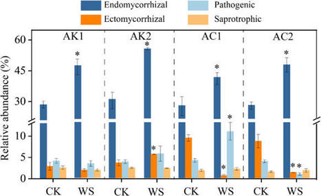 Endomycorrhizal fungi improve soil nitrogen transformation rates and nitrogen uptake rates of nitrate-preferring plant | Plant-Microbe Symbiosis | Scoop.it
