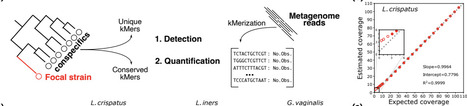 kSanity: A k-mer based application for precision bacterial strain detection and quantification | brvbi | RMH | Scoop.it