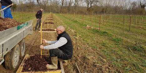 S&rsquo;adapter ou mourir&nbsp;: des vignerons testent la r&eacute;silience de leurs vignes | La s&eacute;lection d'ADI | Scoop.it