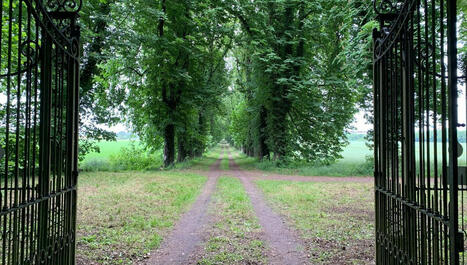 Site de Bétange : l'allée des marronniers bientôt inscrite au titre des Monuments historiques | Forêt, Bois, Milieux naturels : politique, législation et réglementation | Scoop.it