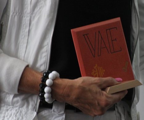 [INP-Formation] Discutons VAE autour d'un brunch | InMédias | Scoop.it