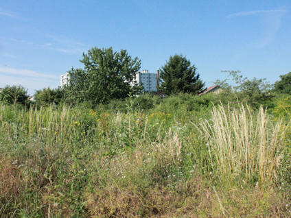 Indice de connectivit&eacute; &eacute;cologique des friches franciliennes - ARB | Veille "Villes de demain" | Scoop.it