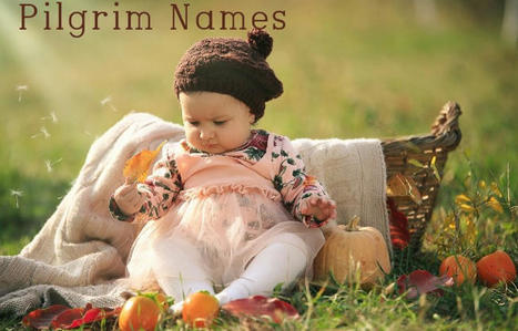 Surprising Pilgrim Names | Name News | Scoop.it