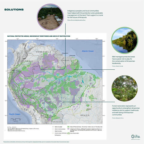 Climate Change and Sustainability in Amazonia | RAINFOREST EXPLORER | Scoop.it