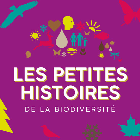 « Les Petites Histoires de la Biodiversité », une série de podcasts pour tout savoir sur le fonctionnement de la biodiversité à travers des récits et des anecdotes scientifiquement sourcées | Variétés entomologiques | Scoop.it