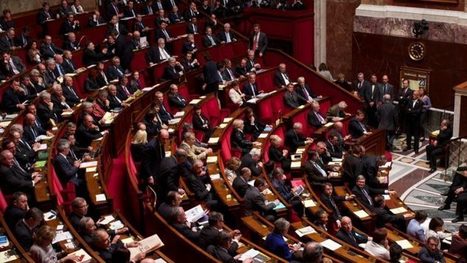 D&eacute;put&eacute;s et s&eacute;nateurs fran&ccedil;ais ont vot&eacute; un amendement qui couvre leurs d&eacute;lits &eacute;conomiques et financiers | ACTUALIT&Eacute; | Scoop.it