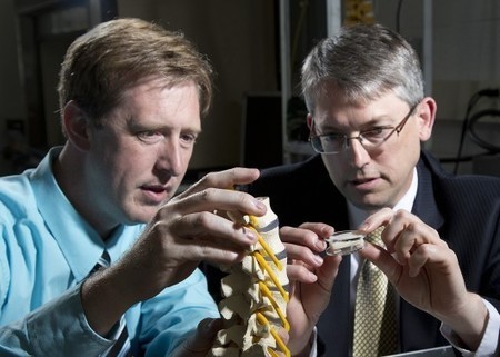 Artificial spinal disc designed to treat chronic lower back pain | Longevity science | Scoop.it