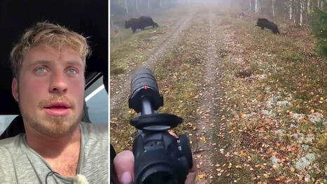 6 m&auml;n st&aring;r &aring;talade f&ouml;r grovt jaktbrott &ndash; bj&ouml;rnhona och unge sk&ouml;ts | 1Uutiset - Lukemisen t&auml;hden | Scoop.it