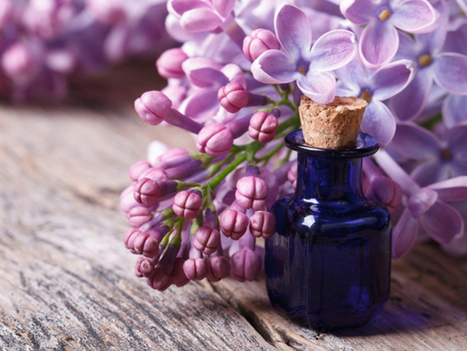 A quoi sert une eau florale ? | La Cabane aux Arômes | Scoop.it
