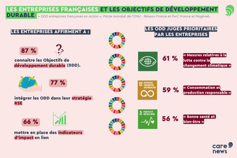 Comment les entreprises se sont saisies des objectifs de développement durable - Carenews PRO | Biodiversité | Scoop.it