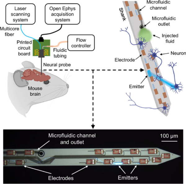 Nanophotonic neural probes for in vivo photostimulation, electrophysiology, and microfluidic delivery&nbsp; | Brain Computer Interfaces & connected medical devices | Scoop.it