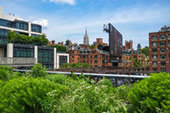 Plants of the Future June 13-14, 2019, New York University, New York (USA) | Plant Conferences | Scoop.it