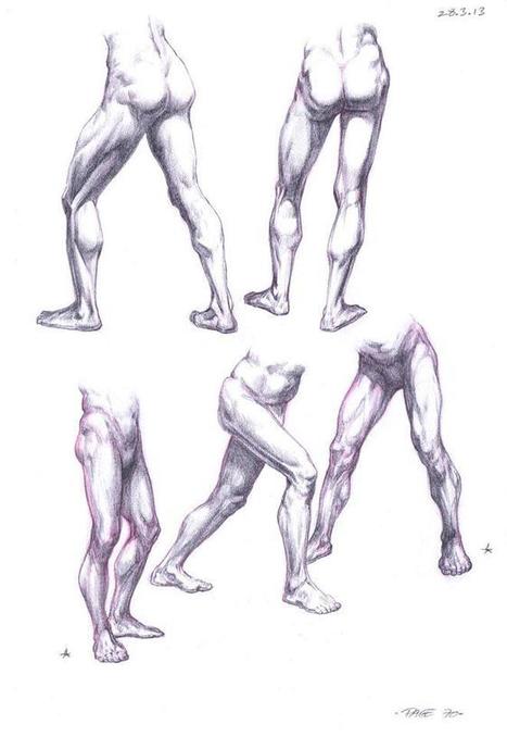 Leg Drawing Reference Guide | Drawing References and Resources | Scoop.it