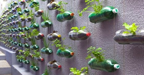 Recycler des bouteilles plastiques en mur végétal | Build Green, pour un habitat écologique | Scoop.it