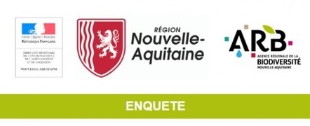 Quels acteurs et quelles actions sur les espèces exotiques envahissantes (EEE) en Nouvelle-Aquitaine ? - ORENVA Poitou-Charentes | ECOLOGIE - ENVIRONNEMENT | Scoop.it